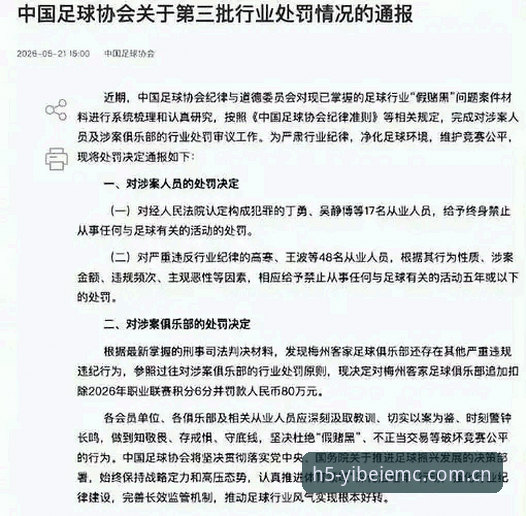 足协第三批禁足名单与行业自律全面对比：孟惊、丁勇等65人终身禁赛 vs 五年禁赛